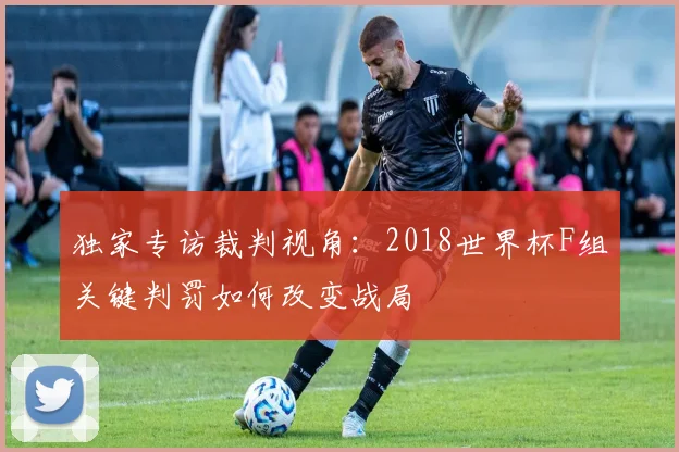 独家专访裁判视角：2018世界杯F组关键判罚如何改变战局