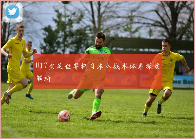 U17女足世界杯日本队战术体系深度解析