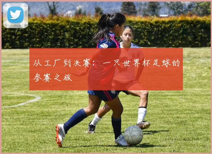 从工厂到决赛：一只世界杯足球的参赛之旅