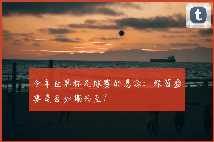 今年世界杯足球赛的悬念:绿茵盛宴是否如期而至?