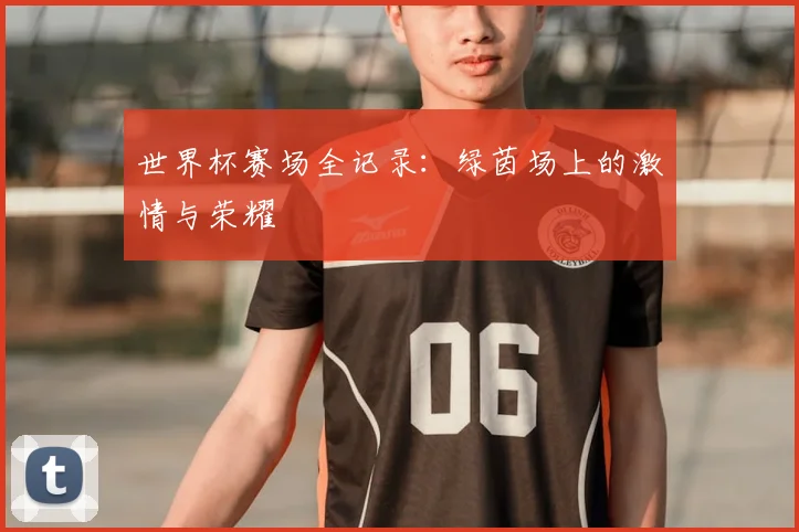 世界杯赛场全记录:绿茵场上的激情与荣耀