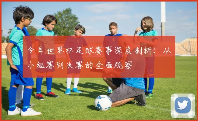 今年世界杯足球赛事深度剖析:从小组赛到决赛的全面观察