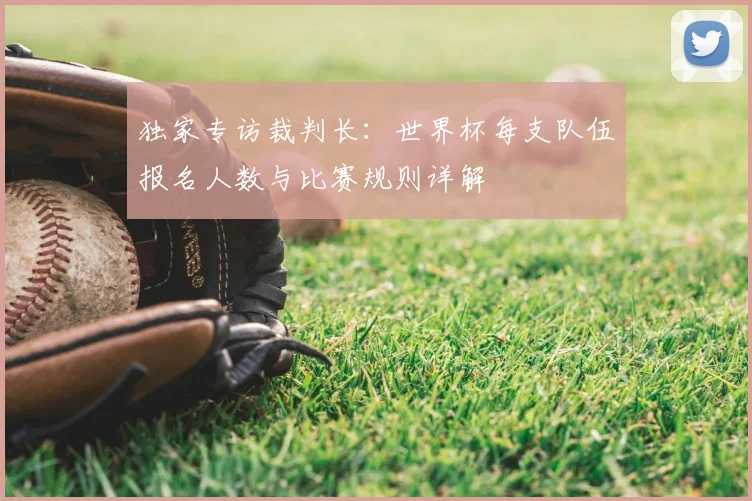 独家专访裁判长：世界杯每支队伍报名人数与比赛规则详解