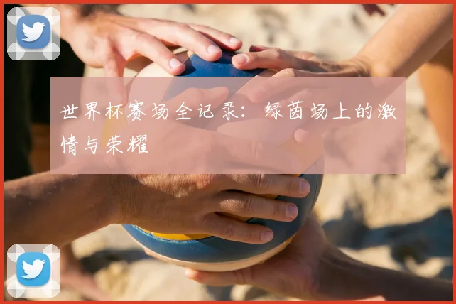 世界杯赛场全记录:绿茵场上的激情与荣耀