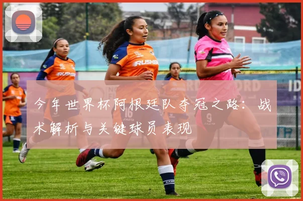 今年世界杯阿根廷队夺冠之路:战术解析与关键球员表现